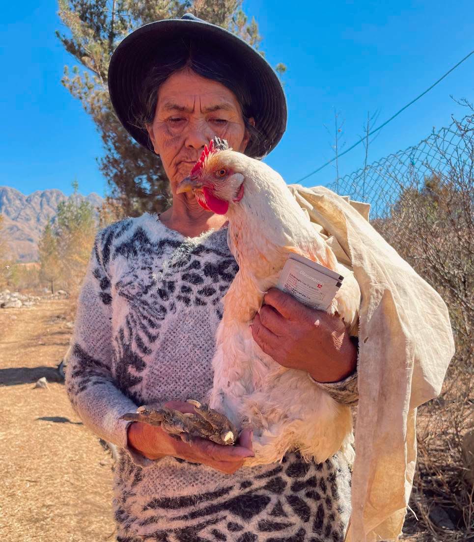 A community member whose chicken was treated and saved