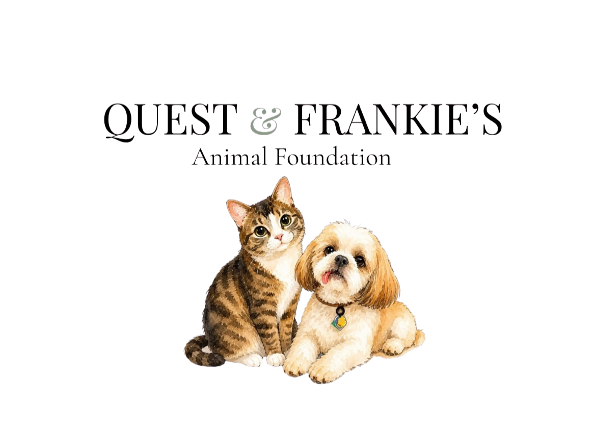 Quest & Frankie's Animal Foundation logo featuring a tabby cat and a Shih Tzu